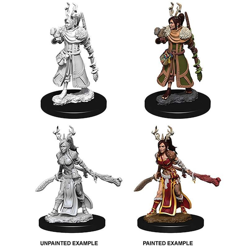 D&D Nolzur's Marvelous Miniatures: Female Human Druid