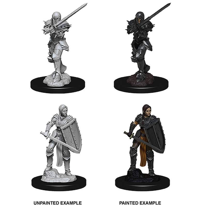 D&D Nolzur's Marvelous Miniatures: Female Human Fighter