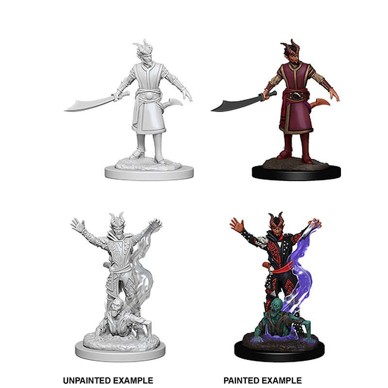 D&D Nolzur's Marvelous Miniatures Male Tiefling Warlock