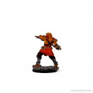 D&D Icons of the Realms Premium Figures Male Dragonborn Fighter