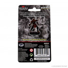 D&D Icons of the Realms Premium Figures Male Dragonborn Fighter