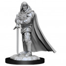 D&D Nolzur's Marvelous Miniatures Human Paladin Male