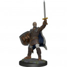 D&D Nolzur's Marvelous Miniatures Human Paladin Male