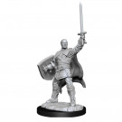 D&D Nolzur's Marvelous Miniatures Human Paladin Male