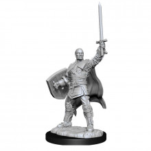 D&D Nolzur's Marvelous Miniatures Human Paladin Male