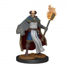 D&D Nolzur's Marvelous Miniatures Multiclass Cleric/Wizard Male