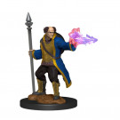 D&D Nolzur's Marvelous Miniatures Multiclass Cleric/Wizard Male