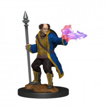 D&D Nolzur's Marvelous Miniatures Multiclass Cleric/Wizard Male