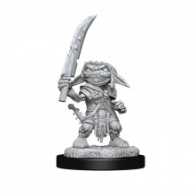 Pathfinder Deep Cuts Goblin Fighter Male