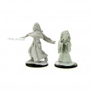 D&D Nolzur's Marvelous Miniatures Night Hag and Dusk Hag