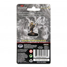 D&D Icons of the Realms Premium Figures Halfling Fighter Male