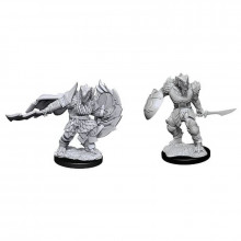 D&D Nolzur's Marvelous Miniatures Dragonborn Fighter Male