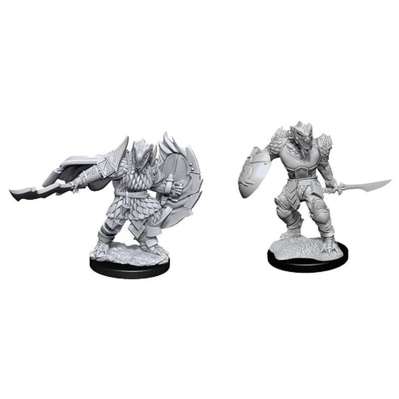 D&D Nolzur's Marvelous Miniatures Dragonborn Fighter Male